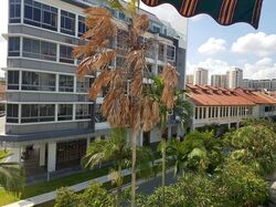 Joo Chiat Place (D15), Condominium #482451501